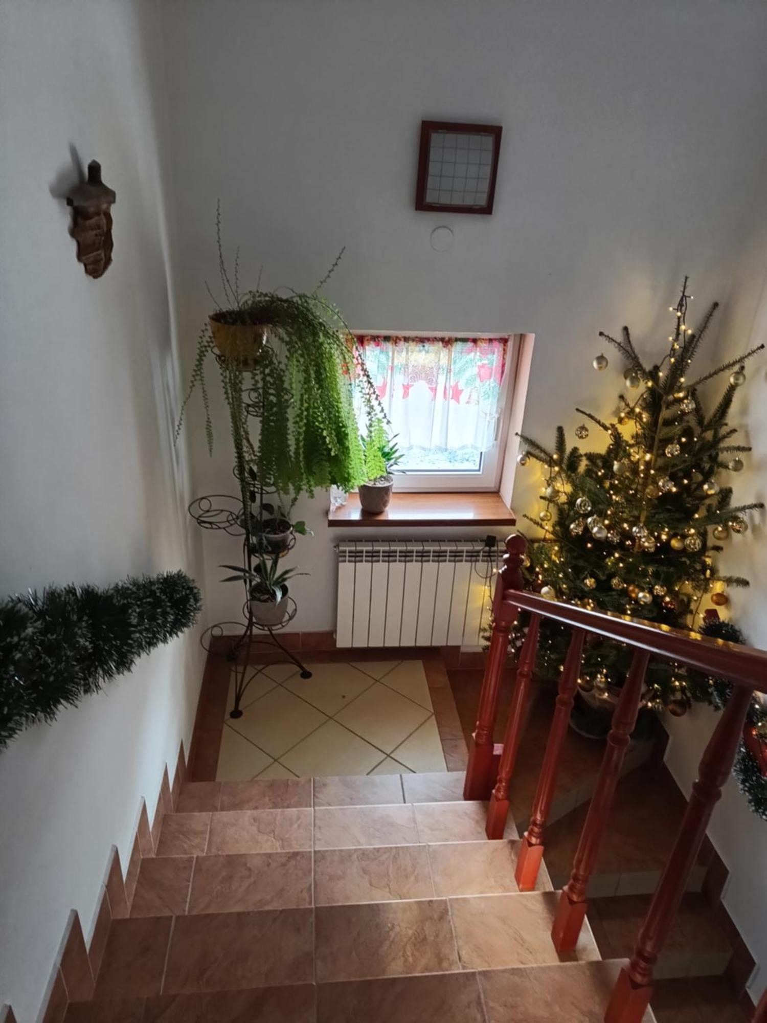 Noclegi U Brody Hoczew Exterior photo