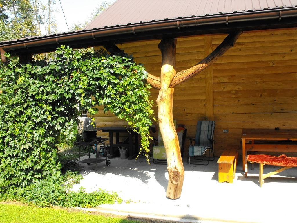 Noclegi U Brody Hoczew Exterior photo