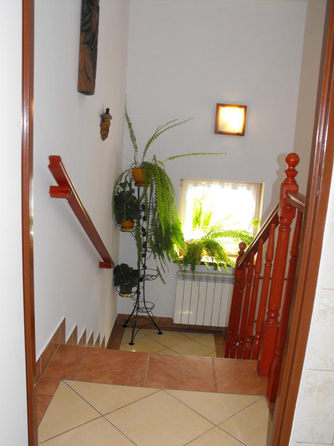 Noclegi U Brody Hoczew Exterior photo